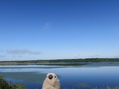 道東の大自然を巡る旅　with ゴエモン　part１　湿原の文鳥