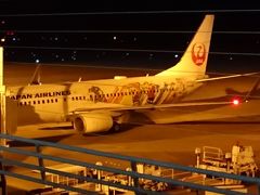 JL150便 青森(AOJ)→東京羽田(HND)搭乗記