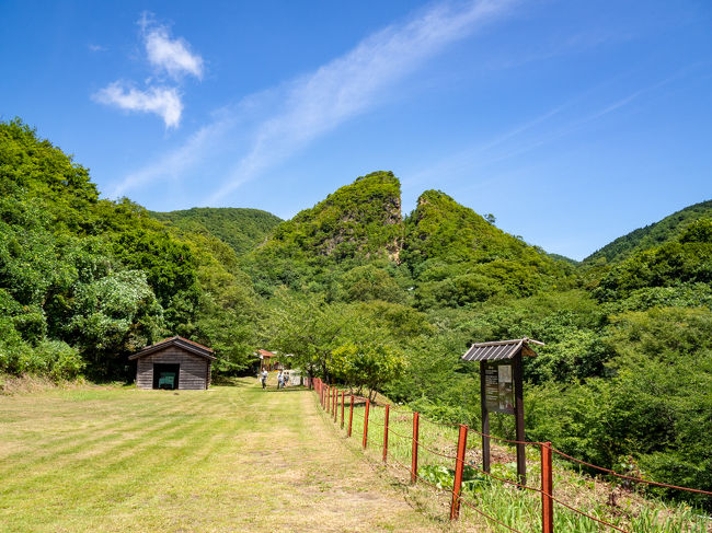 夏休みの前半 4泊5日で行く新潟佐渡島の旅。<br /><br />成田から新潟に夜に入り、翌朝のフェリーで<br />佐渡島へ到着。車を借りてまずは金山へ。<br /><br />鉱山の坑道跡を見に来たというよりは<br />ロボット坑夫のインパクトがすごかったです。<br /><br />スケジュール----<br />　8/10土　成田→新潟<br />●8/11日　新潟→佐渡島<br />　8/12月　佐渡島<br />　8/13火　佐渡島<br />　8/14水　佐渡島→新潟→成田