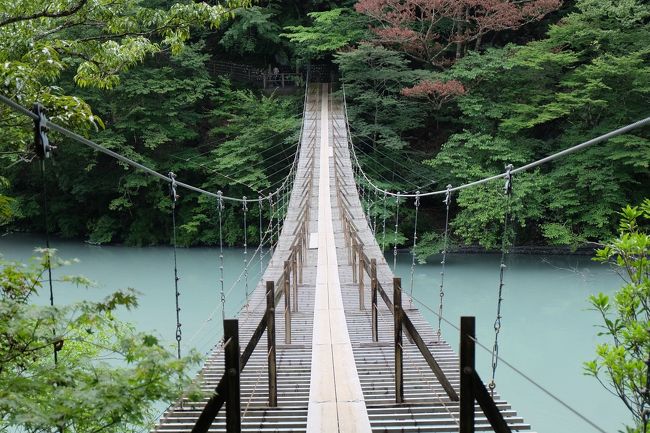 日本への里帰り中、ひとりで１泊２日の大井川鉄道＆寸又峡温泉の旅へ。<br />交通費節約のため、朝５時起きで東京から金谷駅まで新幹線は使わず東海道線でのんびりと。<br /><br />行きのSLと１泊分の宿の予約のみ予約、あとは大井川鉄道公式サイトのモデルコースを参考に観光。設備故障のためSLには乗れなかったのですが、鉄ちゃんではないので問題なし。<br /><br />当初は２泊目を静岡泊まりにして３日目に日本平＆久能山東照宮へも立ち寄る予定でしたが、雨のため急遽１泊に変更。幸い１泊目と２泊目の午前中は天気に恵まれ、大自然に癒されてきました。<br /><br />紅葉の季節にまた来たいなあ。