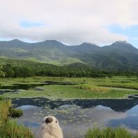 道東の大自然を巡る旅　with ゴエモン　part2　ゴエモン知床旅情