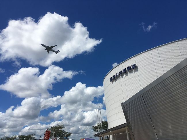 ネットが各家庭に普及する前のこと、<br />海外旅行に憧れ、飛行機自体も好きな様な気がして<br />『月刊エアライン』や『月刊スチュワーデスマガジン』<br />(現『エアステージ』)などを<br />一時期読み漁っていた事があります。<br /><br />更なるエア情報を求め、『航空ファン』にも手を出し<br />「何か方向を間違えたかも……」と気付いて<br />その後急激に飛行機への熱が冷めて行くのですが<br />小学校高学年~数年は結構飛行機が好きでした。<br />(今は昔の話で、スチュワーデスマガジンに<br />文通コーナーがあった、以外なんにも覚えていないので<br />飛行機についてちょっと突っ込んだ事を聞かれても<br />笑って誤摩化すしか今の私に出来ることは無いです)<br /><br />とかなんとかで、今は飛行機の事は<br />全くもって分かっちゃい無いんだけど、<br />なんとなく何年か行きたいと思っていた<br />ジャンク市に初めて行って来た、という旅行記です。<br />明日(2019.9.8)もやってますので、もし間に合う方はどうぞ。