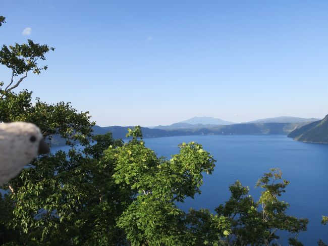 「大空と大地の中で」という松山千春の歌がありますが、北海道とりわけ道東方面を訪れると、「日本にもこんなに広い土地があったのか」と今更のように驚かされます。どこまでも牧場ばかりが続く風景を眺めていると、日ごろ雑事に追われて余裕がなくなっている心や体が少しずつ解放されていくような気がします。また知床の峻厳な山々と鬱蒼たる森を眺めていると、圧倒的な自然の前での、一人の人間の小ささに思い至らずにはいられません。<br /><br />そんなわけで、日々の仕事で疲れた心と体をいやすべく、7-8年ぶりでしょうか、北海道に旅行に行ってきました。<br /><br />釧路から知床半島に向かい、阿寒湖・摩周湖・屈斜路湖に遊び、最後は網走で監獄博物館を見学と、道東の有名な観光地を一回りしてきました。今回も我が家のマスコット、桜文鳥雛のぬいぐるみ、ゴエモンも一緒です。<br /><br />Part3では知床観光船で知床クルーズを楽しんだ後、硫黄山、摩周湖を訪ね阿寒湖温泉に向かいます。