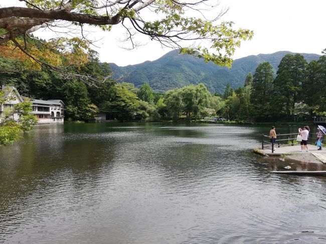 友人を交え、再び大分にドライブに来た。<br /><br />べっぷ地獄めぐり(地獄蒸しプリン)ー別府海浜砂湯ー東洋軒(とり天)-金鱗湖ードクターフィッシュ湯布院ーフローラルビレッジ<br />
