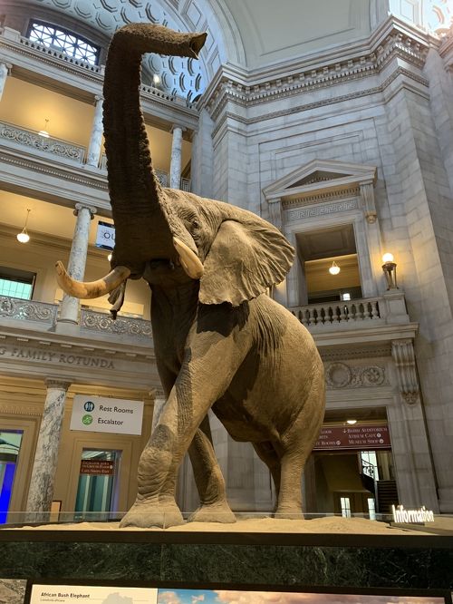 2019夏旅ワシントンDC③アメリカ歴史博物館&ホワイトハウス 2019夏旅ワシントンDC③アメリカ歴史博物館&ホワイトハウス