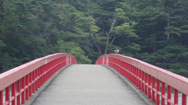 あぶない刑事の聖地巡礼です!