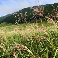 2019年9月 箱根仙石原温泉とススキ草原