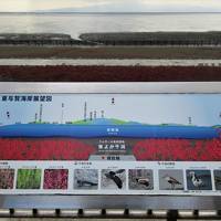 ２０１８年１１月　佐賀県　前編　川上峡温泉でランチと入浴。東よか干潟でシチメンソウを見る