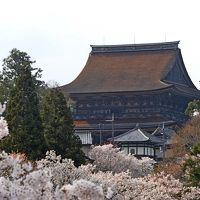 2019.4奈良出張，吉野，桜を満喫，そして名古屋へ6-みたらしだんご，西澤屋のそば定食，大和八木に帰る