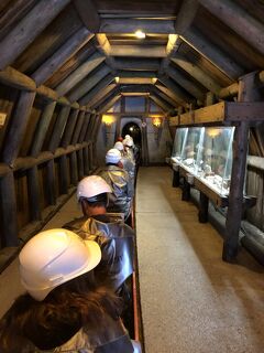 2019 チロルでハイキング三昧！ウィーンで博物館めぐり♪（４）中世の街シュバーツで銀鉱山の冷涼坑内トロッコツアー♪