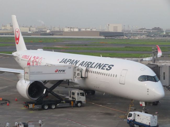 台風15号の影響で1日遅れになったJALエアバスA350ファーストクラスの旅。<br />国際線のアッパークラスを思わせるような広くて快適なシート。<br />静かな機内。おいしい機内食。全席に備わったモニター。<br />定刻より少し遅れての福岡空港到着となりましたが、快適な機内だからもっと乗っていたいくらいでした。