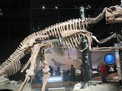 カナダ八日目　ドラムヘラー(恐竜博物館)~カルガリー～帰国へ