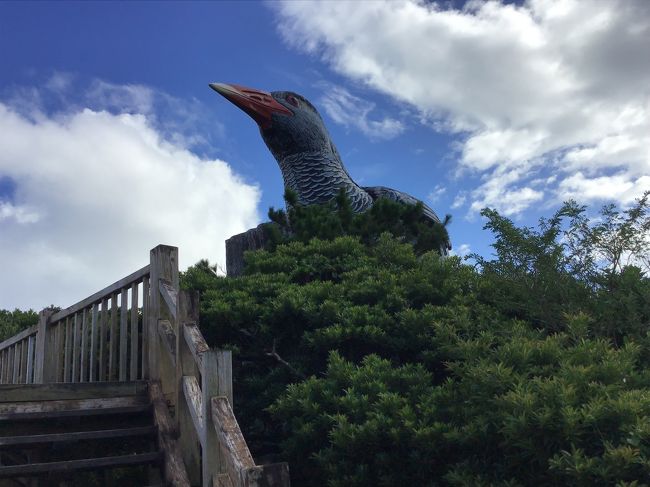 アラ還夫婦の夏休み3