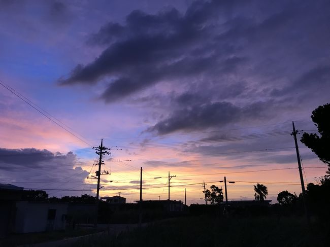 1年ぶりの宮古島は行く前から波乱の連続でありました。<br />当初の予定では夏季休暇2日と誕生日休暇1日使って9/5~9/9で組んでいたのですが、<br />なんと出発3日前になって台風13号が沖縄の南に発生。<br />しかも鈍足で猛烈で、なんどGPVとにらめっこしても5日に直撃。<br />一通り凹んだあと、ただでは起きない主義の私はとりあえず6日のジェットスターの空席をチェック。<br />一桁!!!<br /><br />これは欠航決まってからでは席がないと判断、幸いちゃっかりプラスをつけていたので差額で変更可能だったため、差額2000円のうちに6日に便を変更。<br />万が一飛んでも5日は確実にどこにも行けない。<br />案の定4日と5日は欠航したので英断でした。<br /><br />ジェットスターとJALと怒涛のやりとりを激務の隙間で繰り返し(この詳細は伏せる)、前乗りの宿も予約変更し、<br />同僚が一日ずらしなよ!と言ってくれたのと木曜実際忙しかったので、木曜取る予定の休みを火曜にズラし、<br />なんとか旅程を9/6~9/10に変更。<br />シャトルバスだけは予約変更できなかったので、<br />木曜は17時まで働いてから成田直行しました。<br /><br />下地島空港行きの直行便は早朝なので始発でも間に合わず、ナインアワーズに泊まってから行く計画でした。<br />スーパーディールだから30%還元されるぞー<br /><br />宮古のゲストハウスだけは3日前から悪天候だろうとなんだろうと容赦無く100%のキャンセル料取る血も涙もない仕様だったので仕方なく延泊だけして。<br /><br />仕事忙しかったからこの日出勤にしてよかったー<br />そのあと大丈夫だったかな…怖くて会社のメールは見ていない