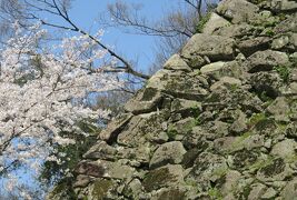 2018春、四国の日本百名城(19/42)：3月26日(9)：宇和島城(2)：野草と樹木、天守へ
