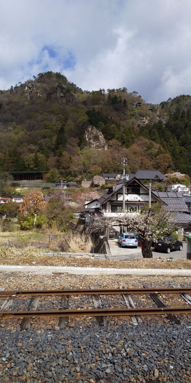 以前から山寺へ行きたいと思っていました。そして蔵王にも。<br /><br />山寺(立石寺)の境内は桜の花びらを敷き詰めて東北にもすでに春は来ていました。<br />参拝者も多く、家族連れや若いカップルさん等、賑やかな参道です。<br /><br />山形市内はすっかり春でしたが残念ながら蔵王は未だスキーが出来るほど雪が残っていて山歩きする事はできませんでした。<br /><br />けれど名残の樹氷の見る事が出来て満足です。麓の温泉に入ってバスで下山。翌日はちょこっと仙台城跡見学。<br />又、機会があればお鉢まで歩きたいです。<br />