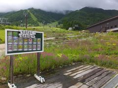 白馬五竜高山植物園他