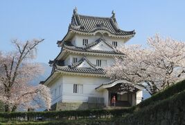 2018春、四国の日本百名城(22/42)：3月26日(12)：宇和島城(5完)：天守、植物観察