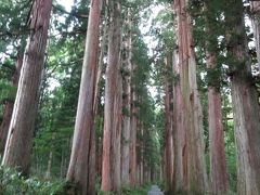 戸隠奥社への道は遠かった。