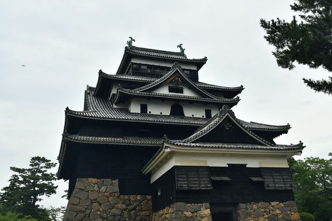 さて、前日は出雲大社周辺の出雲を主に回りましたが、生憎の雨で予定の半分程度しか観光が出来ませんでした。<br /><br />2019.08.19（月）<br />萩市発―出雲市（出雲大社―稲佐の浜―日御碕神社・日御碕―鰐淵寺）―松江市（玉作湯神社<br />―八重垣神社―松江城―ホテル・松江駅前ユニバーサルホテル―宍道湖）―ホテル泊<br /><br />上の予定が<br />萩市発―出雲市（出雲大社―稲佐の浜―日御碕神社・日御碕ー一畑薬師）――ホテル・松江駅前ユニバーサルホテル泊<br /><br />となりました。<br /><br />2019.08.20（火）<br />ホテル発―松江市・安来市（大根島・江島大橋―美保関【美保神社・美保関灯台・青石畳通り】）　<br />―帰路―出雲市（国指定史跡 荒神谷遺跡）―大田市（物部神社―石見銀山・羅漢寺 五百羅漢）<br />―萩市着<br /><br />の予定は、朝から小雨の天気でそれを考慮して以下のように変更しました。<br /><br />ホテル発―松江市・安来市（大根島・江島大橋―美保関【美保神社・美保関灯台・青石畳通り】）　<br />―松江市（松江城ー宍道湖）ー帰路―出雲市（国指定史跡 荒神谷遺跡ー御井神社）―萩市着<br /><br />実はこれで正解でした。<br />大田市（物部神社―石見銀山・羅漢寺 五百羅漢）など回っていたら自宅着は夜中になっていたことでしょう。<br />松江城は、今回で3回目の訪問ですが是非行きたかったので急遽予定に加えました。<br />小雨の中、ホテルを午前8時位に出発し、大根島へ。<br />ここでは、海中に廃棄された舟の残骸と、自動車のCMで一躍有名になったベタ踏み坂のある江島大橋を見学しました。<br />舟の残骸は、私がネットで見た写真よりも数が少なく残念でした。<br />ベタ踏み坂は、T字路の端から撮影しましたが、天気が良ければもっと遠くから望遠で撮りたかったです。<br />美保神社、美保関灯台は雨も止んで一安心でしたが、曇り空では喜びも半分。<br />しかし、青石畳通りは雨上がりの方が趣があるとのことでしたので良かったです。<br />美保関から松江市内に戻り、松江城の天守閣に登るとすぐ近くに宍道湖の嫁ヶ島が見えます。<br />夕日の絶景は拝めませんでしたが、せめてものお慰みに曇天の嫁ヶ島を写真に収めて帰路に着きます。<br />気を取り直して、国指定史跡 荒神谷遺跡に行きましたがこれがビックリ。<br />写真で見てかなり大きな遺跡を想像していたのですが、狭い壁面に申し訳無さそうにある遺跡は哀愁さえ感じさせました。<br />さて、全く関係なさそうな御井神社を最後に加えたのは、実は29年前の思い出によるところが大きいのです。<br />29年前、あるクルマ雑誌の取材で出雲市斐川町を訪れた私は、道中、安産祈願の神社があることを知りました。<br />身重の妻を自宅に残して、自分だけ楽しんでいた私はその後ろめたさからその神社で安産祈願をしてもらいました。<br />誠に失礼で恥知らずの私は、たった千円で祈願をお願いし、御札やお守りまで貰って帰りました。<br />その後、安産で長女を、そのおよそ2年後には長男を授かり、ご利益は金額以上に有りましたが、その恩を忘れて今までお礼参りを怠っていました。<br />そこで今回、お礼参りは奮発して500円をお賽銭箱に投げ入れました。<br />何てケチな私。<br />ごめんなさい～。<br />そんなこんなで2日間の島根一人旅は無事、幕を降ろしましたが、天候だけが残念。<br />近いうちに、寒くなる前にリベンジの旅を計画中です。<br /><br />