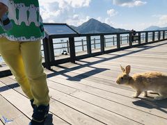 親子二人旅 広島その３  大久野島でうさうさうさぎ！