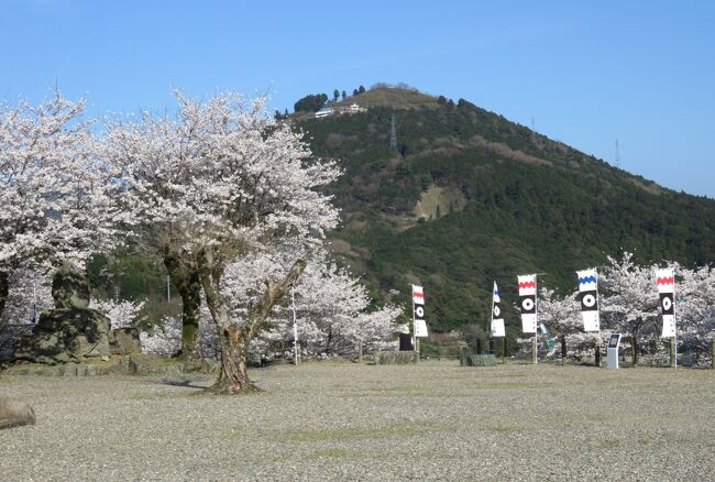 2018春、四国の日本百名城(26/42)：3月26日(16)：大洲城(4)：幟、天守、城内展示