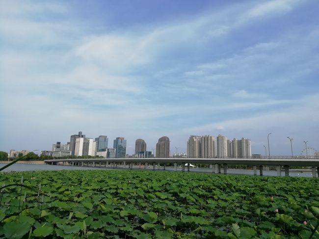 明月湖 下がスケスケのガラス歩道が架かっていた。雨の日はツルツル滑って大変と違うか？2019年６月中国 揚州・鎮江７泊８日(個人旅行)１０１