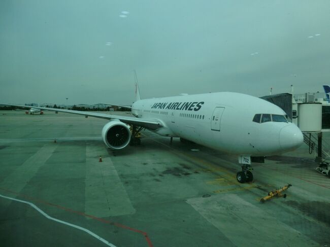 第49回海外旅/パンスタークルーズ[往路]&ソウル・その6.ソウル市内滞在&日本航空Cクラス搭乗記