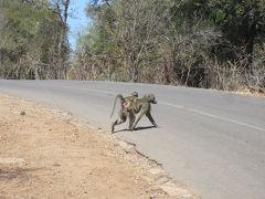 南部アフリカ５ヶ国巡り