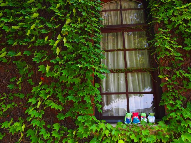 夏休みの1人旅。けろ子も一緒だよ。<br />夏休み後半、時間が出来たのでせっかくだからどこか行きたいなと思い瀬戸内方面の旅を計画する。<br />沖縄以外でも1人で行ってみたいなと思う場所はいくつかあって、その中に道後温泉、広島市内、尾道、倉敷がありました。<br />せっかくの長い夏休み。<br /><br />当初は2泊3日で道後ー尾道ー倉敷の旅を計画していました。<br />でもせっかくだからもう1泊延ばせば広島まで足をのばせる悩んだ末3泊4日に変更しました。<br /><br />ところがどっこい(古いwww)台風10号が凄い遅さで接近してきましたね。<br />全然近づいてこないので自分の動きをどうしたらいいのか出発前日まで決行するのか中止するのか悩みました。<br /><br />台風の速度と、飛行機の運航状況を見ていると14日は問題なく飛行機が飛びそうだったので13日に予定を組み立てなおし、保険を掛けるつもりで予約していた道後温泉の宿と広島の宿に事情を説明して連絡を入れておきました。<br /><br />ハプニングもあり雨の為に色々制限があったり余計な予算を使ってしまったりと言う事もありましたが、今後の勉強と思えばOKでしょう。<br />もう1度訪れたい場所が出来、振り返れば良き旅だったと思います。<br /><br />美味しいもの、いい匂い、かわいい、優しい・・・瀬戸内って魅力が沢山です。<br /><br />★飛行機<br />伊丹ー松山(ANA)<br />スーパーバリュー28<br />¥10660<br /><br />★フェリー(予約なし)<br />松山観光港ー呉<br />¥2670<br /><br />★リムジンバス・電車など<br />今回の旅で約¥8000程使いました。<br /><br />★宿泊<br />☆道後やや(じゃらん)<br />早期割14(やや自慢の大人気朝食ビュッフェ付)<br />1泊は予約・1泊は台風の為同料金で延泊<br />¥16300×2日 ¥32600(税別)<br /><br />☆矢掛屋INN&SUITES<br />蔵INNシングルルームで古民家ステイ(朝食付)<br />¥8040(税別)<br /><br />台風でキャンセルしたホテル<br />☆カプセルホテルCUBE広島<br />プライベートキャビン(レディースフロア)<br />スタンダードプラン<br />¥3600(税別)<br />※電話で連絡させていただいたときに丁寧に対応して下さいました。