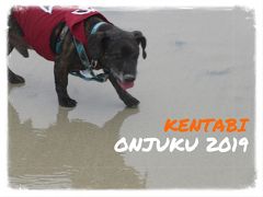 犬旅　～御宿2019～