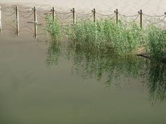 中国・甘粛省敦煌　世界遺産を行く(鳴沙山・月牙泉(2))