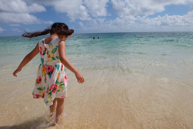 4歳子連れ家族旅行　ハワイの旅④（カイルア）