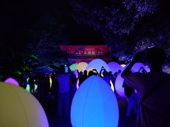 3年ぶりの再チャレンジ！下鴨神社チームラボへ！②