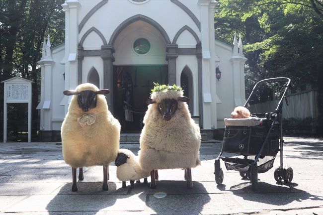 遅れてやってきた私の夏 涙色のハルニレテラス のその後 いつまでも元気でいようね 軽井沢 長野県 の旅行記 ブログ By Comodoさん フォートラベル