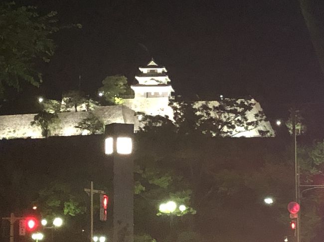 朝から小雨降る羽田を後に、またまたお気に入り四国へ。<br /><br />今回は徳島＞高松＞丸亀＞100名城四国コンプリート、四国の真ん中を横断しJR高知を通過し、足摺岬を回り、土佐入野でホエールウオッチング、土佐久礼で黒潮本陣の黒潮沸かし湯と朝とれの魚を堪能、高知市で人とビルに慣れ社会復帰のリハビリをして、東京に帰宅予定。<br /><br />阿波踊り空港に着いたらピーカンの夏空だ。<br />羽田はここ数日秋風が吹きカーデガンを羽織らなければ肌寒くも有ったと言うのに、夏が沢山残っていた。<br /><br />徳島城址&gt;高松城址&gt;丸亀城<br />良くあるツアー並みの忙しさで徳島城址、高松城址を見て回り<br />1泊予定丸亀では幸いなことに、丸亀城でのお月見フェスティバルが開催されており、21時までライトアップしての開城。たっぷりと城と縄張りや石垣を堪能できた。<br />明日は四国の真ん中を縦断し足摺岬に向かう。<br /><br />＜＜今回の旅での事前手配＞＞<br />・ANA２８１　羽田ー徳島（8:55-19:30)　１３H<br />・Ｗｅｂ限定！自由に四国鉄道の旅切符　2日間JR四国乗り放題（特急も含む自由席　宿泊ホテルも選べる）丸亀パレスホテルを選択　12,100円<br />・あしずり・しまんと号（とさ電トラベルの観光バス）2日間　3,800円<br />・ジョン万ふるさと旅行券（15,000円分の旅行券が10,000円）<br />・土佐入野　ネストウエストガーデン2泊<br />・土佐入野（黒潮町大方）ホエールウオッチング（現地払い）6,000円<br />・土佐久礼　大谷旅館素泊まり（現地払い）4,800円<br />・土佐久礼大正町市場　田中鮮魚店（席だけ予約）<br />・高知パレスホテル2泊（AMA旅作で航空券と共に予約）<br />・ANA５７０　高知ー羽田 (18:05-19:30)14K<br />