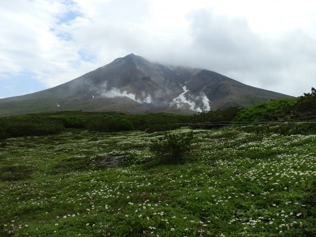 大雪山国立公園にある旭岳は北海道の最高峰の山です。アイヌ語で「カムイミンタラ」神々の遊ぶ庭と呼ばれ、絶景の花風景に目を奪われます。 <br /> 北海道大雪山の短い夏、その短い夏一瞬に咲く可憐な高山植物。その可憐な花々は人々の心を打ち魅了してやまない。<br /> 大雪山の高山帯は広大で、その高山植物群落の規模と豊かさは比類ない、とネイチャーガイドは言う。高山帯に分布する植物としては約200種類とされています。<br /> この旅行記の主な見どころは、一面に広がる花畑・大雪山旭岳「裾合平」、落差270mのダイナミックな滝・「羽衣の滝」、大雪山・黒岳の高山植物、双瀑台からの眺望、銀河の滝・流星 等です。<br /><br />