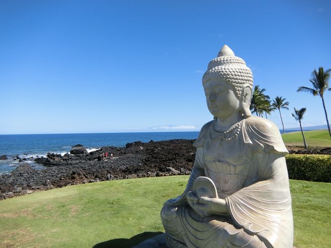 2019年の夏休みはハワイ島！21年ぶり2回目です^_^ <br />21年前は、僕たち夫婦に、両親、姉の5人旅だったので、色々とやり残したことがあります。というか、あまりハワイ島を堪能できていなかったです。<br />今回は無理を承知で、色々な予定を詰め込んでみました^_^<br /><br />ハワイ島の最後の3泊は、オーシャンタワーを満喫！　お散歩して、ラグーンでシュノーケリングして、ワイコロアビレッジ滞在を楽しみました。お部屋からの眺めは最高！ハワイ島の魅力にすっかりハマった旅を締めくくりました！<br /><br />&lt;航空券&gt;<br />ハワイアン航空で手配 198,420円<br /><br />&lt;宿泊&gt;<br />2017年3月のUpgradeで貰った12600ポイントのボーナスポイントをどーんとつぎ込みました^_^<br /><br />HGVC ボーナスポイント利用<br />6/28～6泊<br />キングス・ランド ・バイ・ヒルトン・グランド・バケーションズ・クラブ<br />2ベッドルーム・プラス<br />7560ポイント<br /><br />7/4～3泊<br />オーシャン・タワー・バイ・ヒルトン・グランド・バケーションズ・クラブ<br />スタジオ・オーシャンビュー・キング <br />4650ポイント