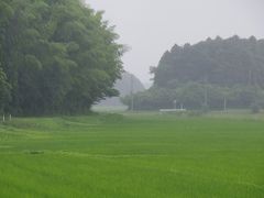 暴風雨の手繰川とユーカリが丘