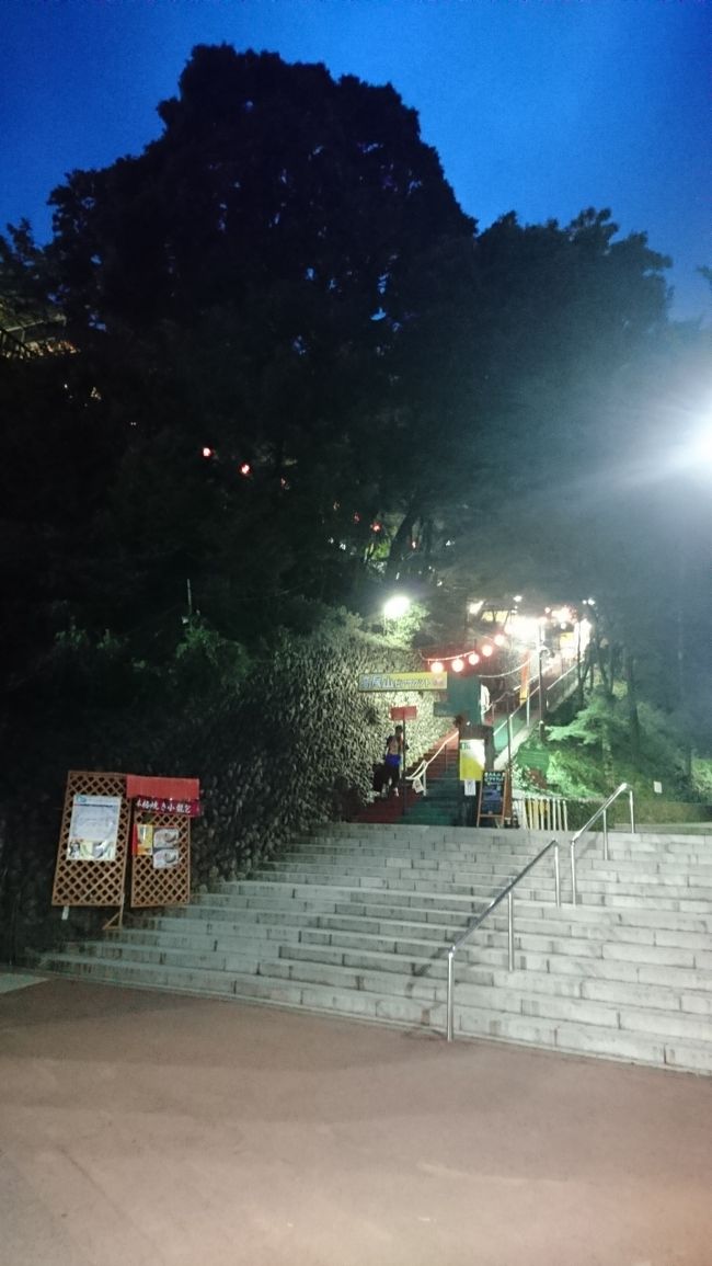 8月18日(日)は、高尾山ビアマウントでの納涼の企画が有り、参加しました。<br />私は集合時刻まで単独で高尾山を歩くことにしました。山行としてはのんびりな出発で、9時半頃、JR高尾駅から歩き始めました。<br />都道516号線を裏高尾へとしばらく歩きました。炎天下の舗装路歩きがタイヘンでした。日影沢の林道の木陰の緩やかな登りはむしろ涼しかった。<br />この林道を小仏城山まで汗ダラダラになりながら、頑張って登り、かき氷休憩としました。<br />そこから尾根を下り登りして、高尾山頂や薬王院を経て、下りのエコーリフトに乗りました。<br />「高尾599ミュージアム」を5分間だけ見物し、ケーブルカーに乗りました。<br />PM5時前に高尾山ビアマウントで皆様と合流。<br />ビアマウントは京王クオリティーという感じで、ビールも食べ物もおいしかった。<br />なかなか涼しくならなかったけど、おいしく楽しく飲み食いしました。2時間制の食べ飲み放題でしたが、あっという間でした。楽しかったです。