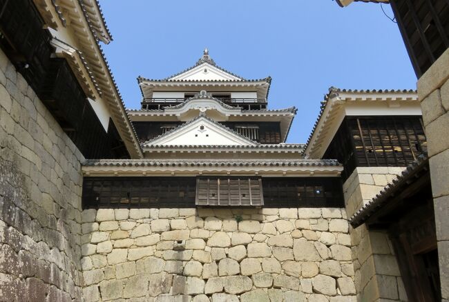 四国の日本百名城、松山城の紹介です。松山市の中心部、勝山(城山)山頂に本丸、西南麓に二之丸と三之丸を構える平山城です。日本三大平山城に数えられ、日本三大連立式平山城にも数えられています。日本の12箇所に現存する天守の一つを有します。