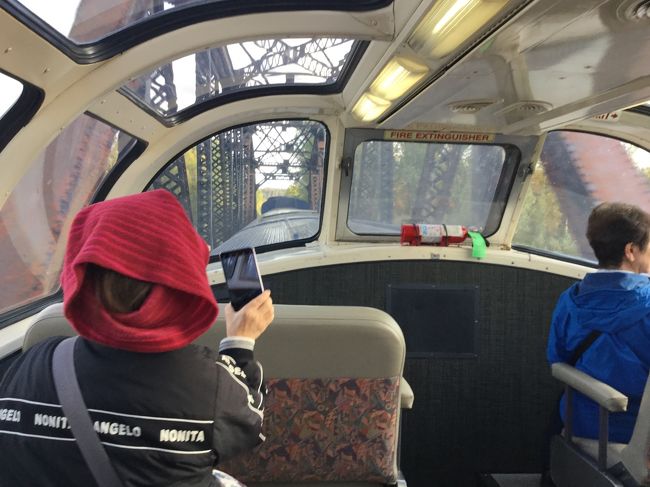 オーロラと動物と氷河(アラスカ鉄道)in Alaska<br /><br />11時にパークビレッジをシャトルバスでデナリ国立公園駅に行きました。<br />約20分です。<br />12時20分に切符を貰って12時30分発のアラスカ鉄道に乗り、<br />380㎞離れたアンカレッジ駅まで7.5時間の列車旅です。<br />列車はマッキンリーが見える右の席がいいということだったが左だった。<br />実際は展望車に上がったので関係なかった。<br /><br />何度かデナリ山が見えるポイントを通過したが結局見えなかった。<br />最後の日の飛行機の中からも雨模様だったので見えなかった。<br />残念です!<br /><br />約半分のタルキートナ駅までは素晴らしい景色の連続でした。