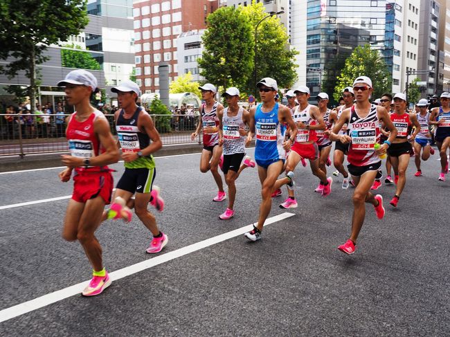 東京オリンピックのマラソン代表を決めるレース、マラソングランドチャンピオンシップ(MGC)観戦に行きました。<br /><br />10km過ぎの茅場町駅近くと、33km手前の二重橋折り返しを観戦ポイントに選びました。<br /><br />真夏の暑さよりは若干穏やかなものの、フルマラソンを走るには過酷すぎる気象条件。<br /><br />沿道の最前列で観戦するには早めに並ばなければならず、日影のポイントが人気のような印象でした。