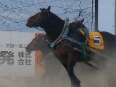 大好き北海道！　帯広、釧路　3日目　真鍋庭園とばんえい競馬