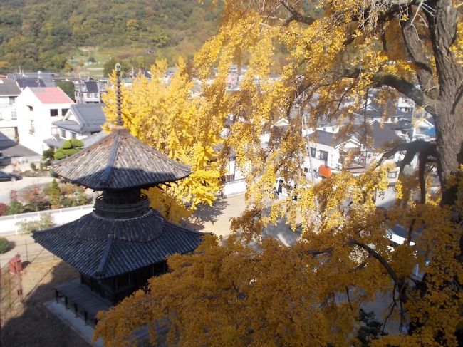 小野竹喬生誕祭で笠岡市立竹喬美術館が無料になる11月18日、美術館に行くついでに笠岡市内にある国重文の遍照寺多宝塔やそのそばに立つ大イチョウの黄葉、最近新しくできたらしい海岸沿いの公園などを散策しました。