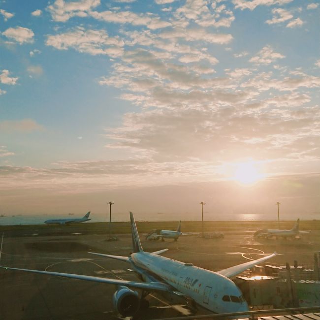 今年の秋旅はだんな様と京都へ(*^^*)<br /><br />京都だけど飛行機で参ります<br /><br />だんな様と飛行機利用の時はいつも前泊して羽田空港も楽しんでいるので、今回はちょっと奮発して羽田エクセルホテル東急の滑走路ビューの部屋に宿泊しました♪