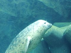 あさひやま動物園