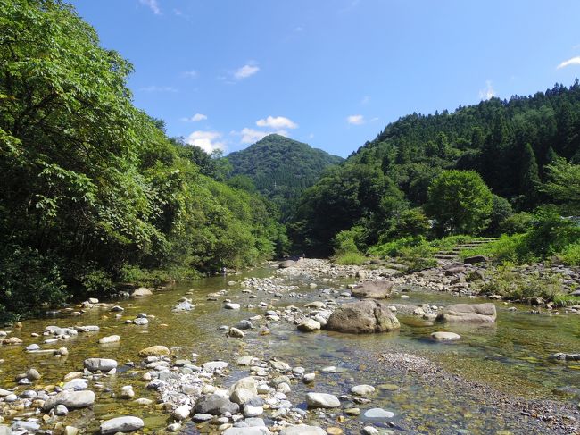 夏休みが終わり1週間たった8月最後の週末。毎年恒例になりつつある会社の別荘がある群馬県猿ヶ京温泉への同僚家族たちと行ってきました。BBQに川遊び、スイカ割り、花火大会、虫取りと、清く正しい日本の夏を満喫してきました。<br /><br />いつもと変わり、最寄りの上毛高原までは新幹線で。泊りは会社の別荘で無料！