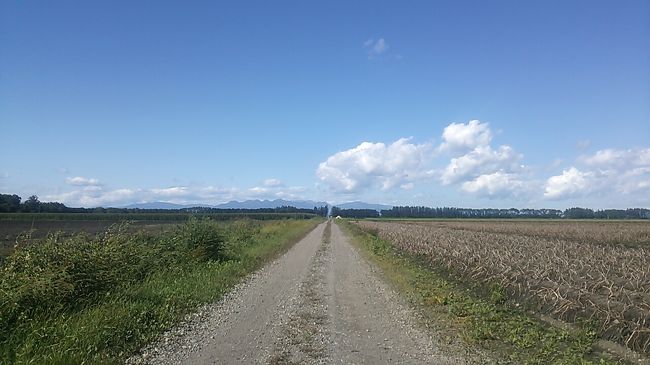 ご覧戴きましてありがとうございます。<br /> 2019年9月17日の火曜日は札幌を起点に日帰り?で帯広・十勝まで行ってきました。<br /> 当日は帯広市内でランチを頂いた後、十勝ならではの景色を眺める為、カーシェアリングの車を利用してドライブしてきました。<br /> 今回はその様子を1部完結で紹介させて頂きます。<br /> なお今回の旅行記ですが、写真によってはコメントの記載を割愛した手抜き旅行記となっております。その点をご了承の上、宜しければご覧ください。<br /> また①北海道へ行った気分になること②早くても2020年6月20日以降での北海道旅行の参考にしていただく為に公開させて頂きますので、お間違いないよう対応願います。