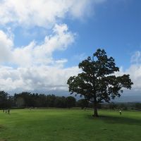 岡山、鳥取、島根　ぶらりドライブ旅